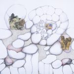 Lisa Roos Fotografia