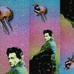 Lisa Roos Fotografia