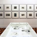 rememorias-60-anos-de-arte-64